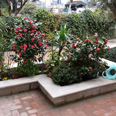 B ＆ B レオナルド