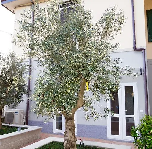 B ＆ B レオナルド 3*