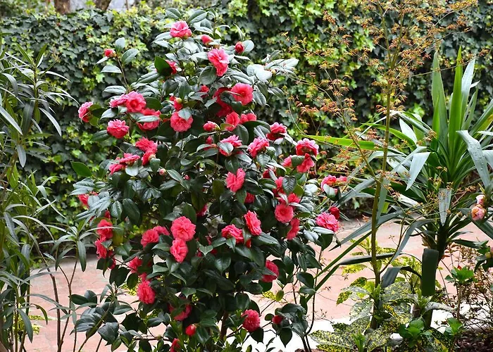 ゲストハウス B ＆ B レオナルド ロー