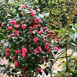 ゲストハウス B ＆ B レオナルド ロー