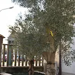 李奥纳多住宿加早餐旅馆